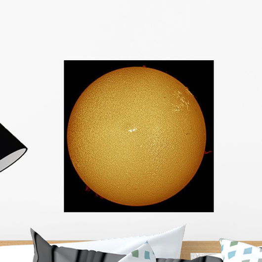 Sun H-alpha Light Wall Decal