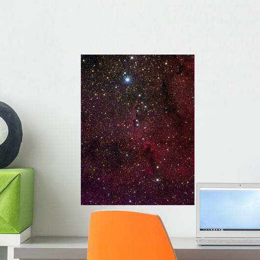 Elephant's Trunk Nebula inside Wall Decal