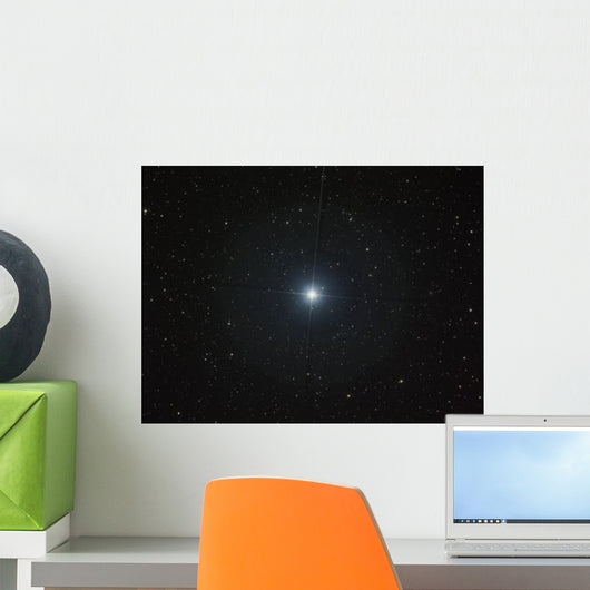 Bright White Star Castor Wall Decal