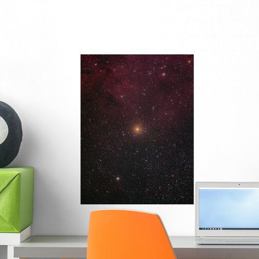 Mu Cephei Red Supergiant Wall Decal