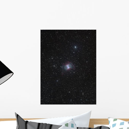 Dumbbell Nebula Wall Decal