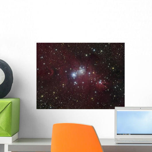 Ngc 2264 Region Showing Wall Decal