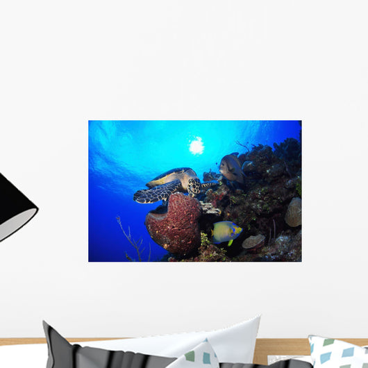 Hawksbill Sea Turtle Eating Wall Decal Design 2
