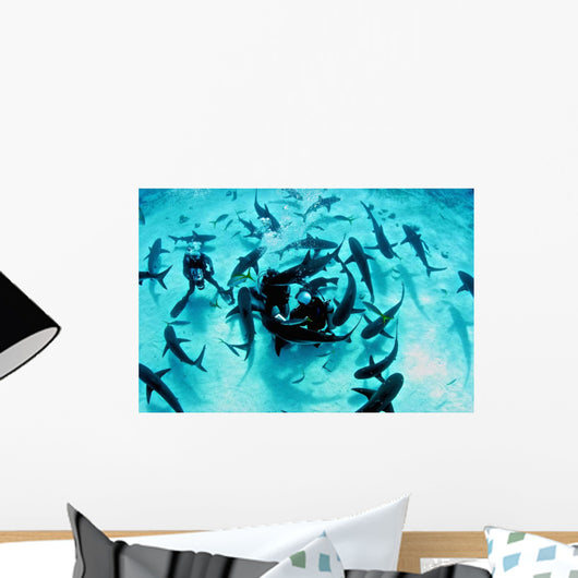 Feeding Frenzy Caribbean Reef Wall Decal