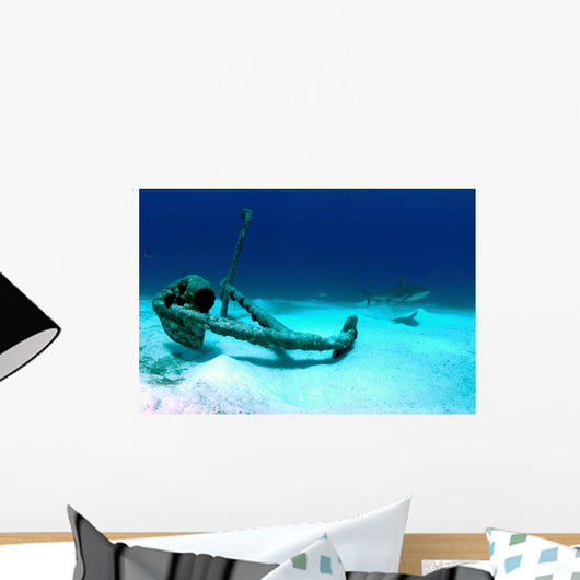 Caribbean Reef Shark Swims Wall Decal