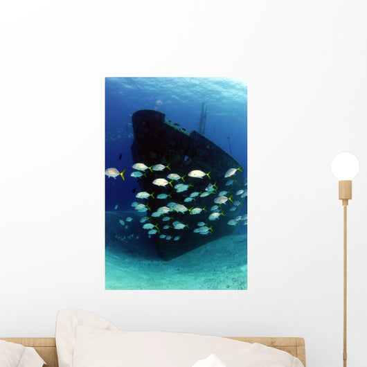 School Horse-eye Jack Fish Wall Decal