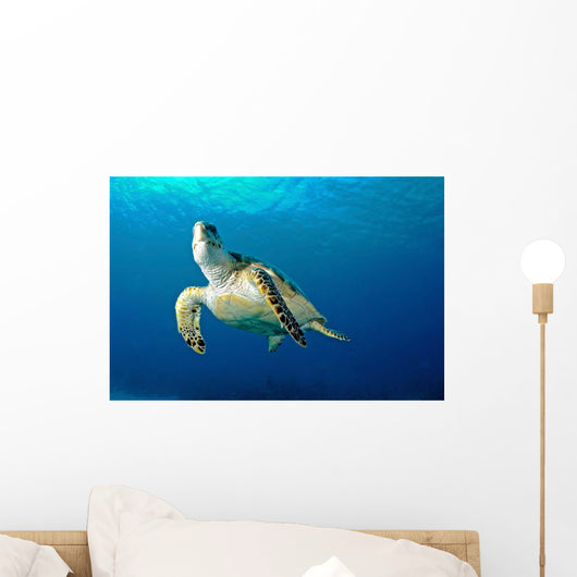 Hawksbill Sea Turtle Ascending Wall Decal