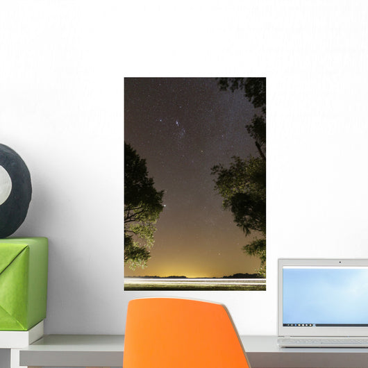 Orion Constellation between Trees Wall Decal