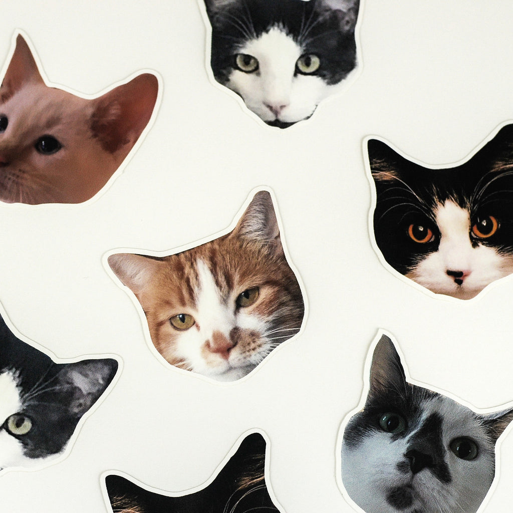 Cat stickers, Print your custom cat stickers