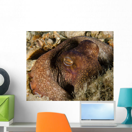 Octopus Head West Palm Wall Decal