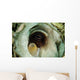 Encounter with Common Octopus Wall Decal