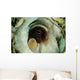 Encounter with Common Octopus Wall Decal