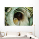 Encounter with Common Octopus Wall Decal