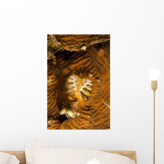 Extreme Close-up Christmas Tree Wall Decal