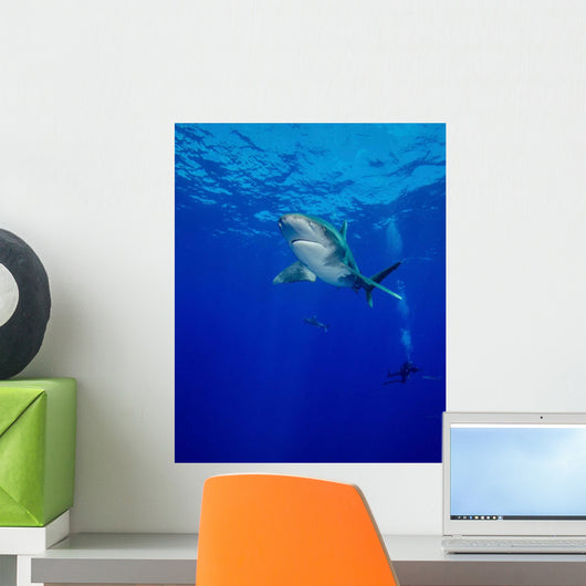 Diving with Oceanic Whitetip Wall Decal