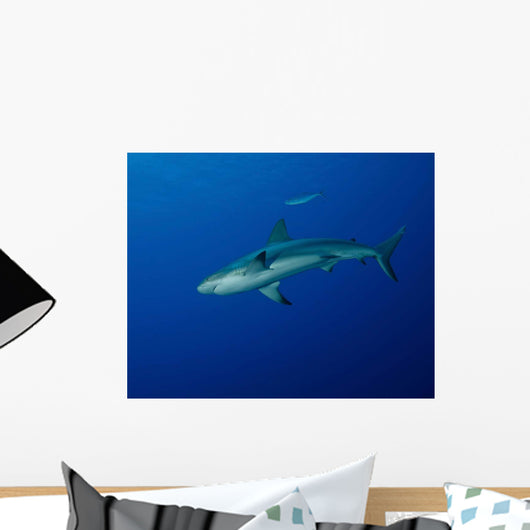 Caribbean Reef Shark West Wall Decal