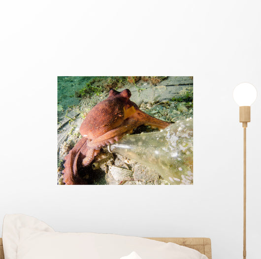 Common Octopus Protecting Bottle Wall Decal