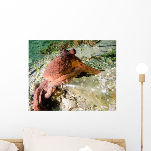 Common Octopus Protecting Bottle Wall Decal