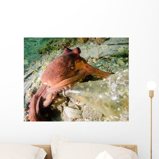 Common Octopus Protecting Bottle Wall Decal