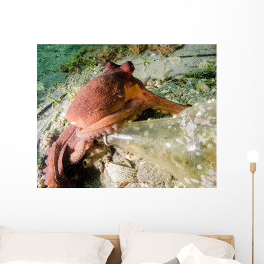 Common Octopus Protecting Bottle Wall Decal