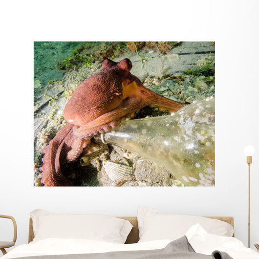 Common Octopus Protecting Bottle Wall Decal