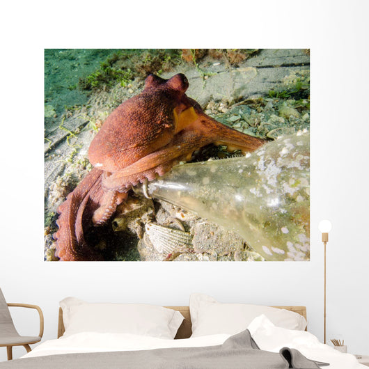 Common Octopus Protecting Bottle Wall Decal