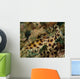 Blue-ringed Octopus Lembeh Strait Wall Decal