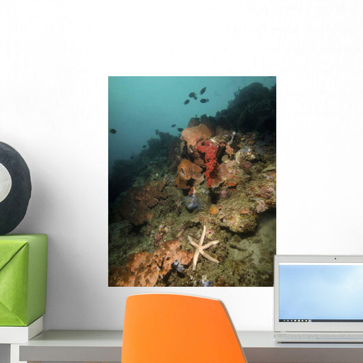 Starfish Diverse Reef Lembeh Wall Decal