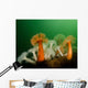 Plumose Anemone Puget Sound Wall Decal