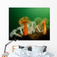 Plumose Anemone Puget Sound Wall Decal
