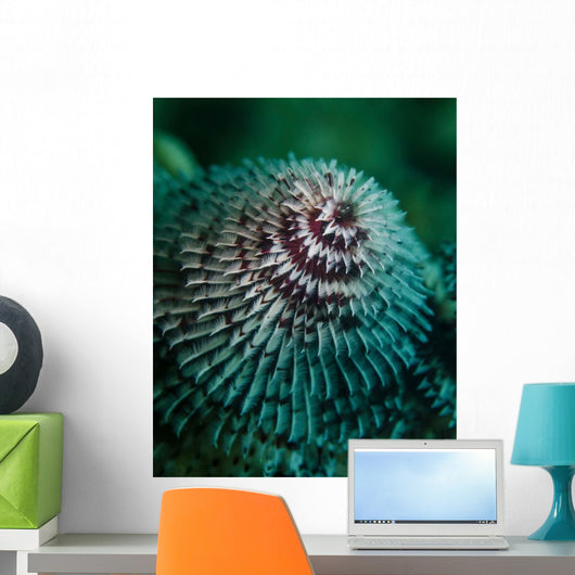 Red and White Christmas Wall Decal