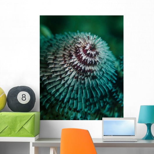 Red and White Christmas Wall Decal