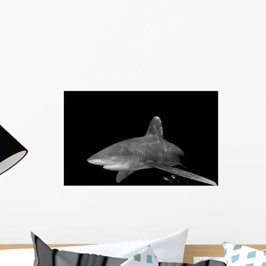 Oceanic Whitetip Shark Black Wall Decal Design 1