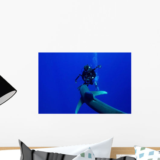 Diver Has Encounter with Wall Decal