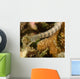 Scribbled Pipefish Indonesia Wall Decal