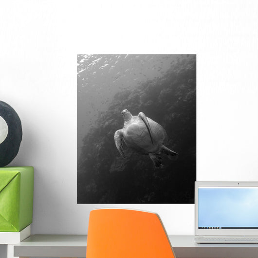 Green Sea Turtle Bunaken Wall Decal Design 2