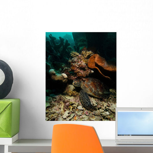 Green Sea Turtle Bunaken Wall Decal Design 1