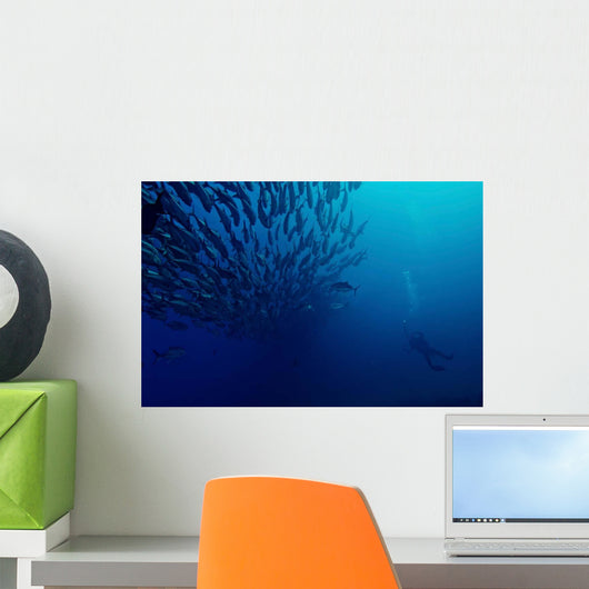 Diver Photographs Massive School Wall Decal