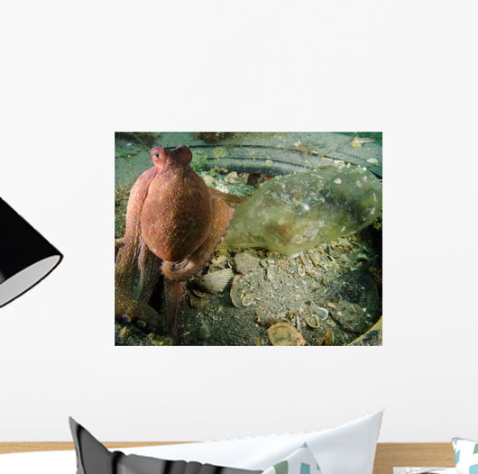 Common Octopus Protects Bottle Wall Decal