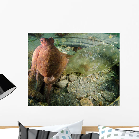 Common Octopus Protects Bottle Wall Decal