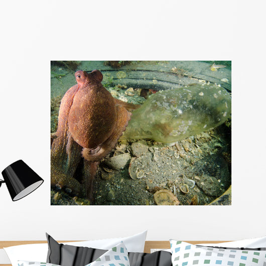 Common Octopus Protects Bottle Wall Decal