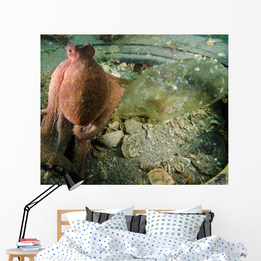 Common Octopus Protects Bottle Wall Decal
