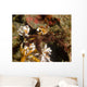 Spider Crab Sulawesi Indonesia Wall Decal