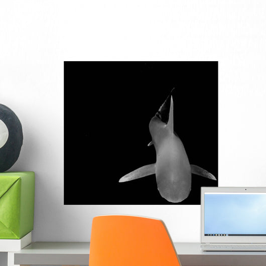 Oceanic Whitetip Shark Cat Wall Decal Design 6