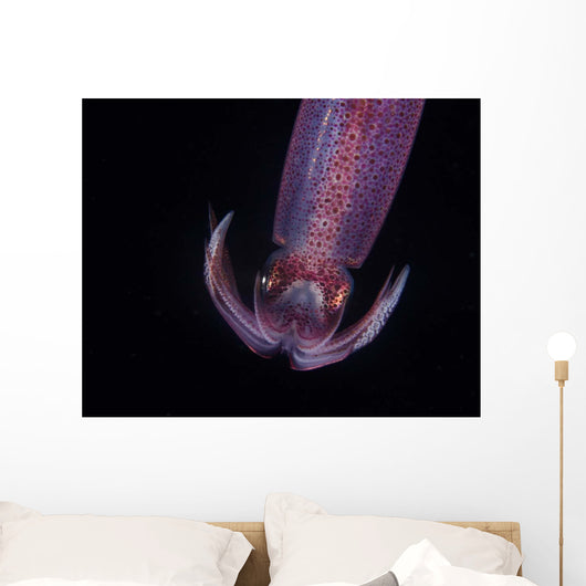 Squid Deepwater Night Dive Wall Decal Design 2