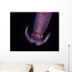 Squid Deepwater Night Dive Wall Decal Design 2