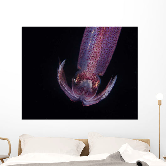 Squid Deepwater Night Dive Wall Decal Design 2