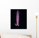 Squid Deepwater Night Dive Wall Decal Design 1