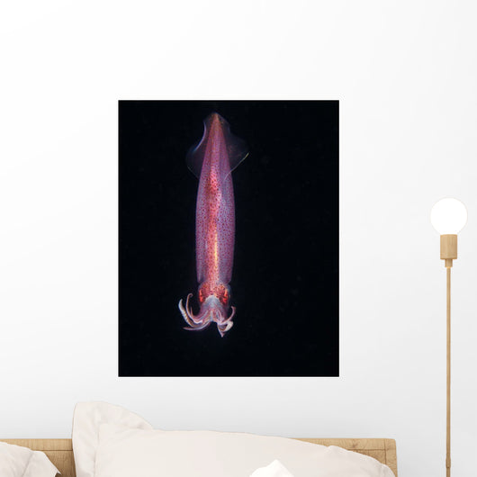 Squid Deepwater Night Dive Wall Decal Design 1