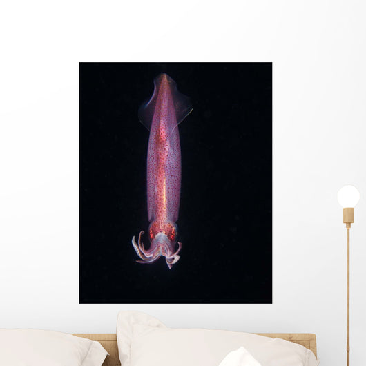 Squid Deepwater Night Dive Wall Decal Design 1